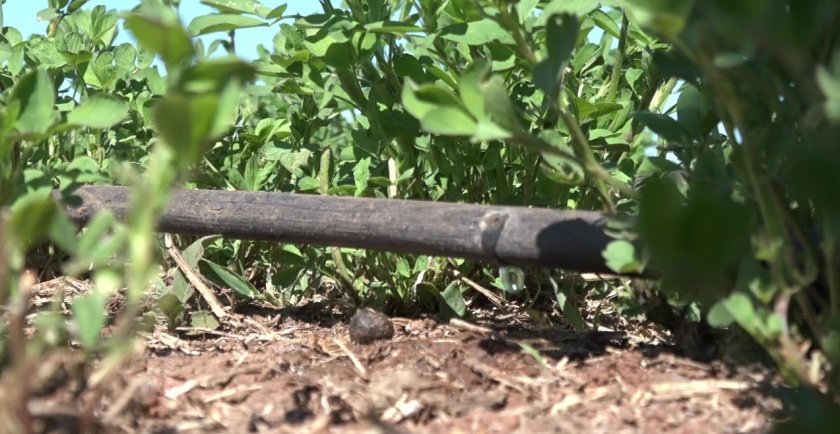 Water Technology - drip irrigation