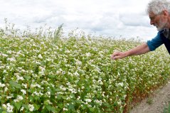 Onderzoeker Wijnand Sukkel in een proefveld (foto: OANEvents)